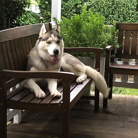 Birches B&B 타리 외부 사진