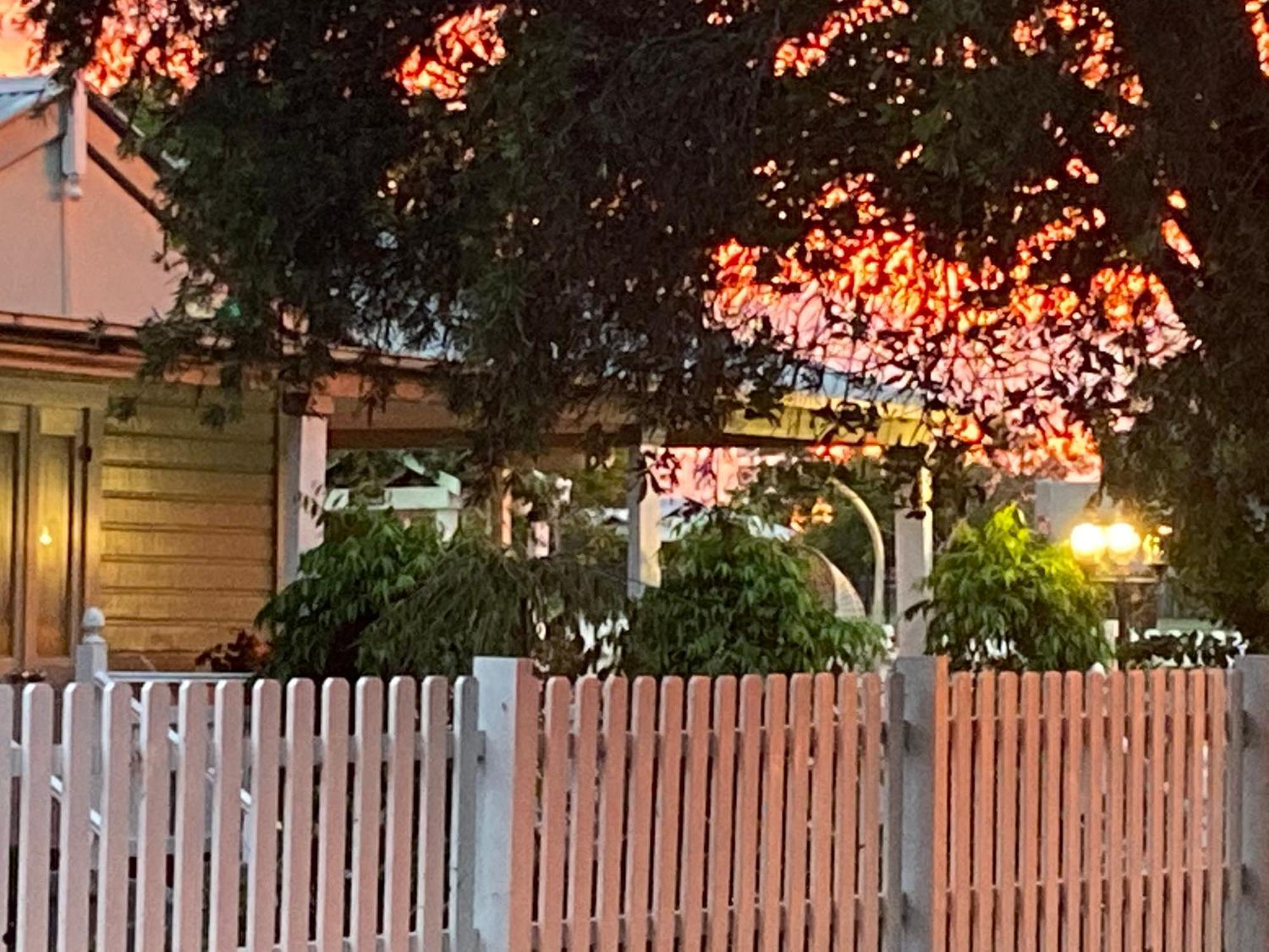 Birches B&B 타리 외부 사진