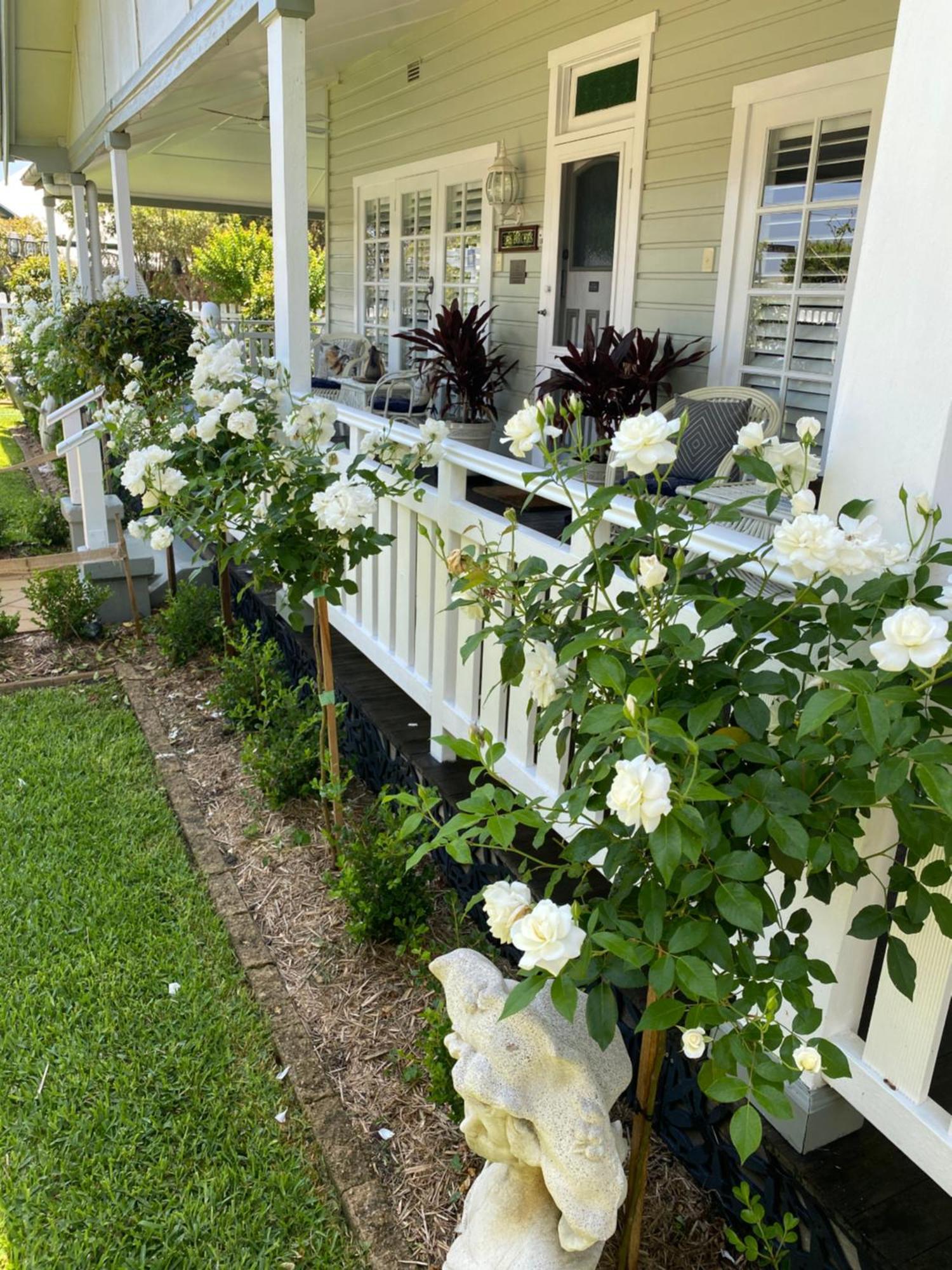 Birches B&B 타리 외부 사진
